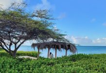 Aruba To Me; Don Alhart!