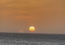 Aruba To Me; Gary Green