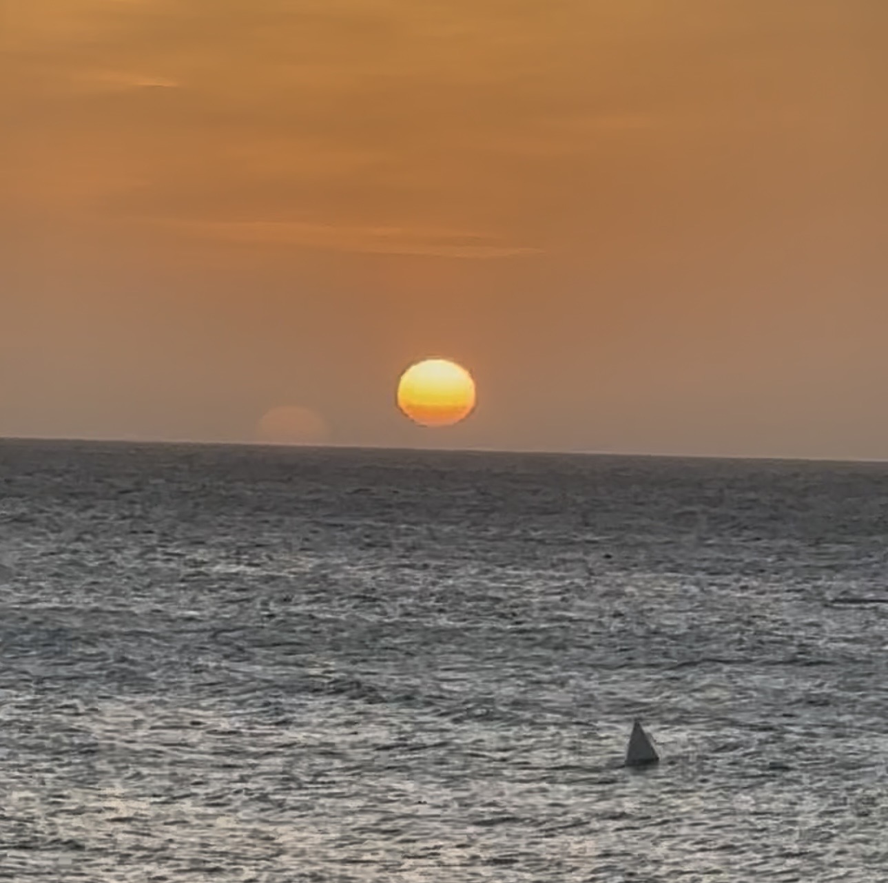 Aruba To Me; Gary Green