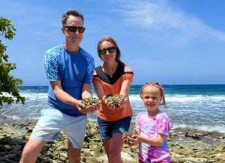 Aruba To Me; Spender Family