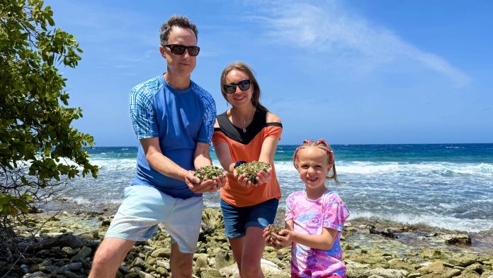 ARUBA TO ME SPENDERS_result