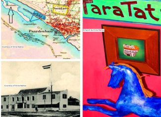 Episode CCCLII- 352: Island Heritage Spotlight