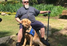 From shelter to service: The ‘rescue ranks’ program changing lives