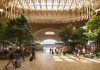 Nature takes flight: Portlandâs new timber terminal cecomes a sanctuary for the modern traveler