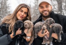 The hit reality show sparking a nationwide pet adoption boom