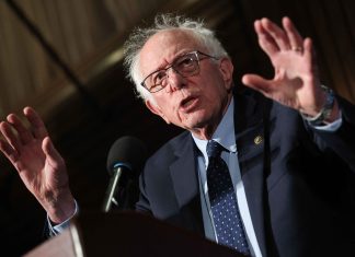 Bernie Sanders pushes 50-percent public stake in AI giants