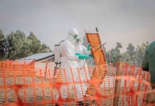 U.S. activates highest-level response to Ebola outbreak
