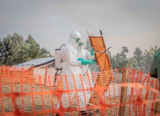 U.S. activates highest-level response to Ebola outbreak
