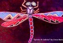 Episode CCCLVI-356: “Spirito di Cabrito”: Aruba’s Dragonfly