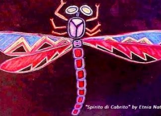 Episode CCCLVI-356: “Spirito di Cabrito”: Aruba’s Dragonfly
