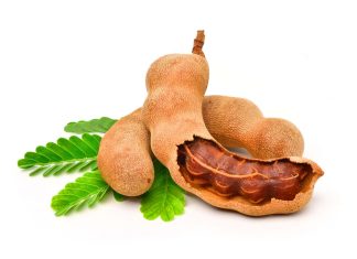 Episode CCCLIX-359: Tamarindus indica