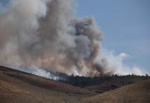 Tens of thousands evacuated as fire bears down on U.S. city