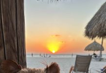 Luigi and his parents love Aruba!