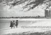 Episode CCCLXV – 365: “The Voyage That Changed Aruba”