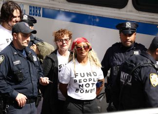 Hollywood stars among arrests in NY anti-Netanyahu protest