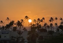 Aruba To Me; Oliver Frank