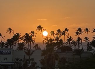 Aruba To Me; Oliver Frank
