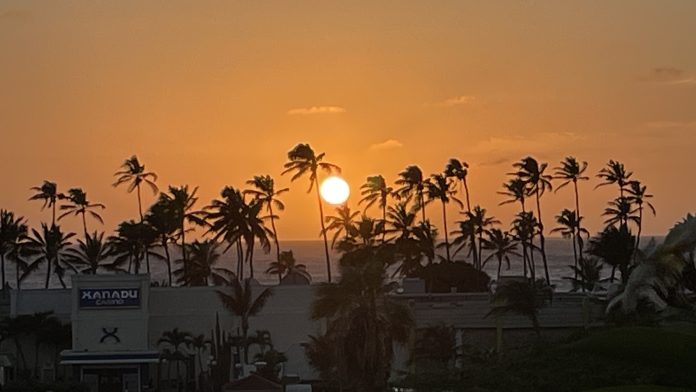 ARUBA TO ME OLIVER