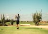 Perfect Swings, Paradise Feelings