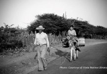Episode CCCLXXI: Hooves of Heritage: The Animals That Connect Aruba’s Past and Present