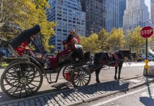 New York votes to ban Central Park horse carriages after decades of debate