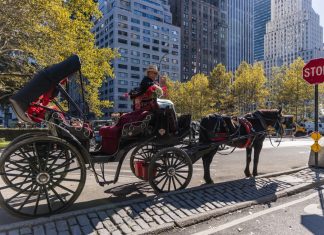 New York votes to ban Central Park horse carriages after decades of debate