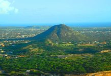 Episode CCCLXXV -375: The Island That Forgot How to Read Itself